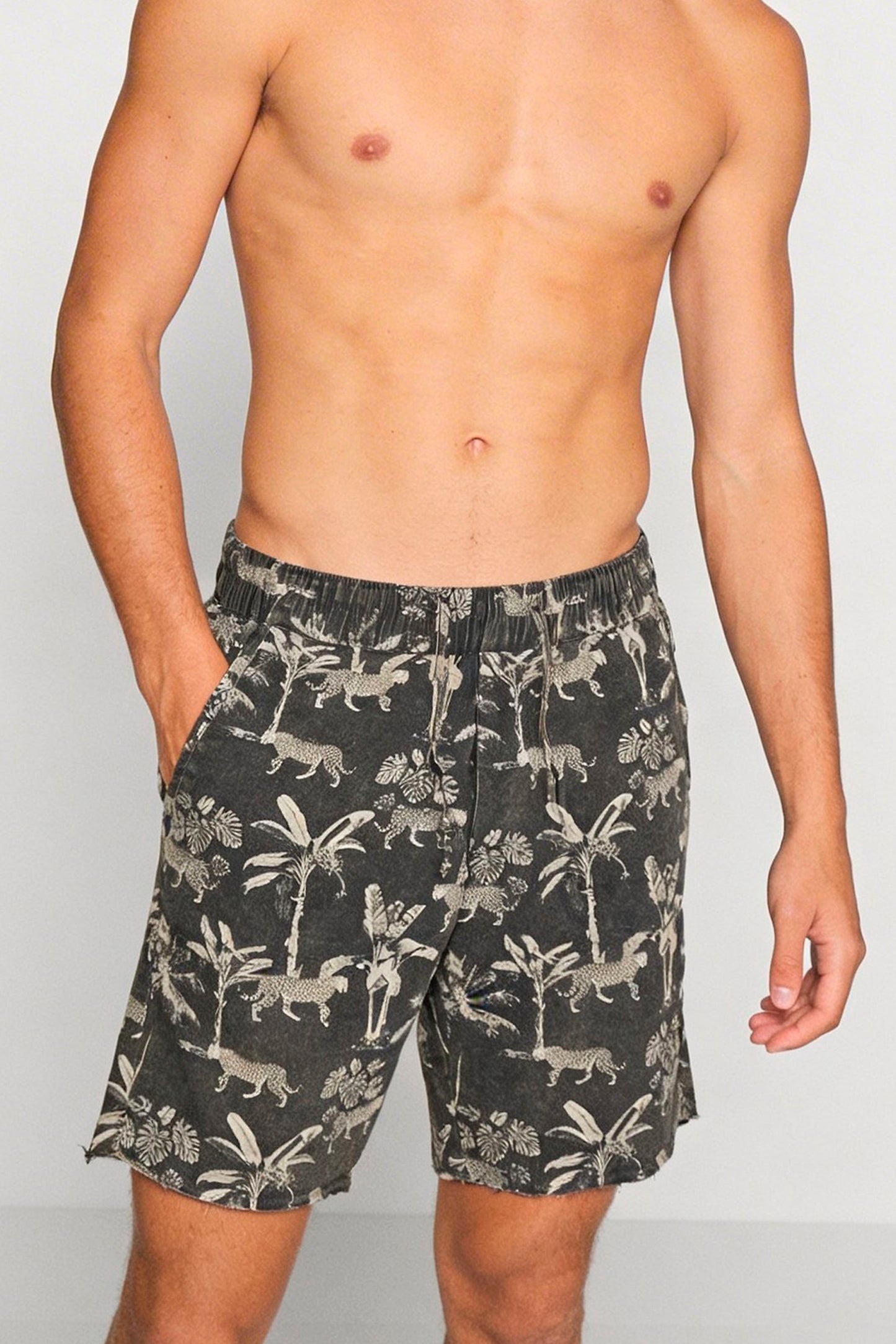 SHORT ROC NIGHT TIGER